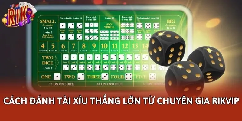 Cách đánh Tài Xỉu thắng lớn từ chuyên gia Rikvip