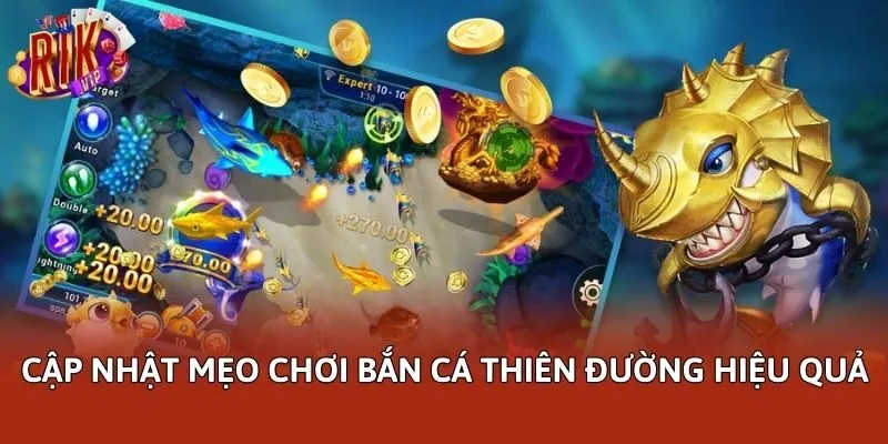 Cập nhật mẹo chơi Bắn cá thiên đường hiệu quả